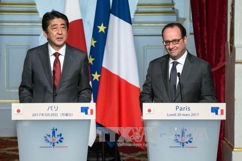 Frankreich und Japan unterstützen freie Seefahrt in Asien-Pazifik - ảnh 1